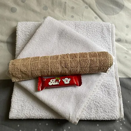 Shine Disco Belgrád